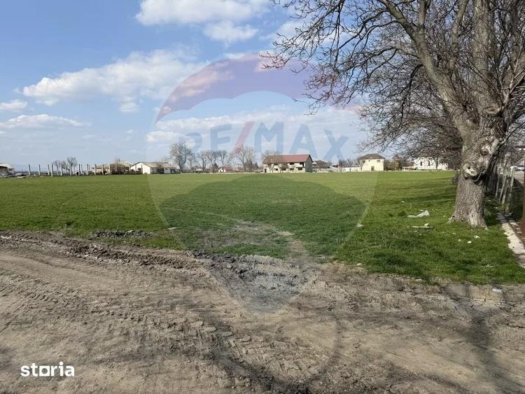 Teren de 5000000 mp, în Slobozia Ciorăști
