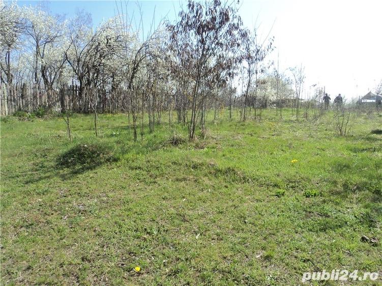 DE VANZARE: Teren - 2.600 mp @ Valenii de Munte, Prahova - 6