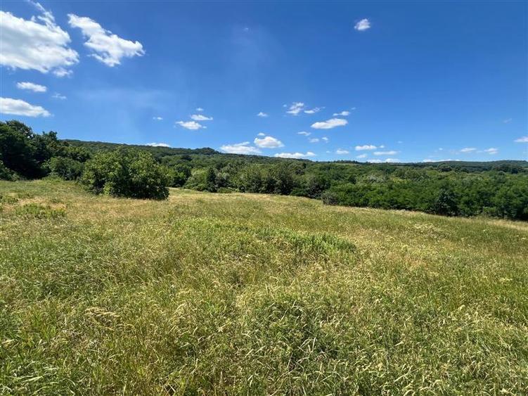 Teren Construcții intravilan de 17475 mp, în Tomești