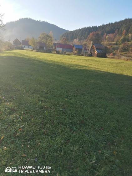 Teren de 3200 mp, în Sadova