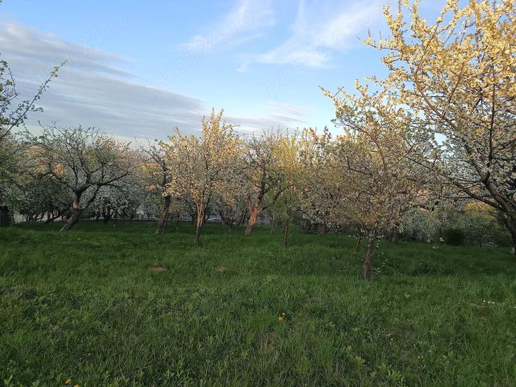 Teren de 2000 mp, în Adâncata