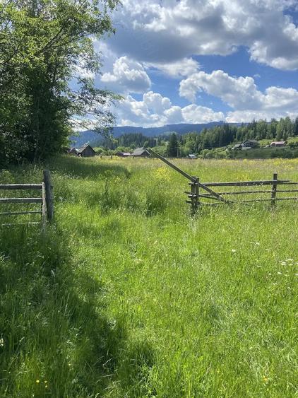 Teren de 10000 mp, în Șaru Dornei