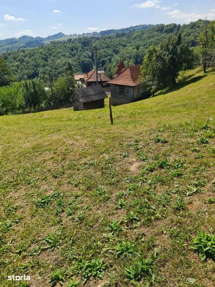 Teren de 10000 mp, în Șotrile