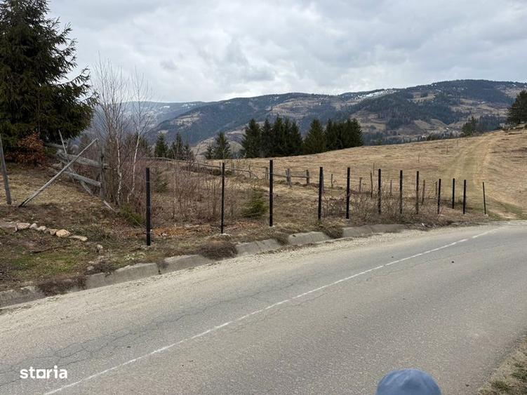 Teren de 1700 mp, în Albac