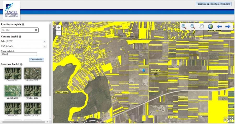 Teren agricol intravilan de 6000 mp, în Brănești
