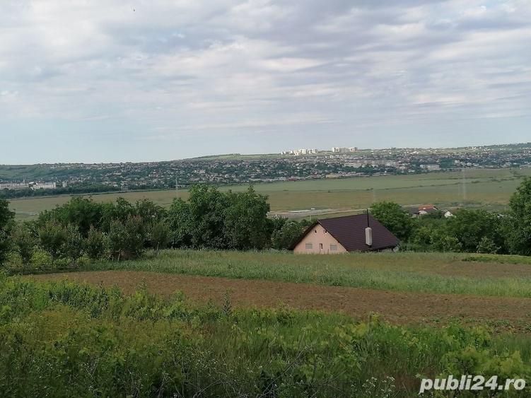 Teren de 5000 mp, în Uricani