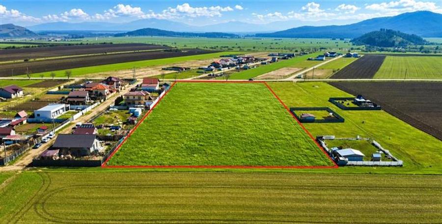 Teren Construcții intravilan de 700 mp, în Cristian