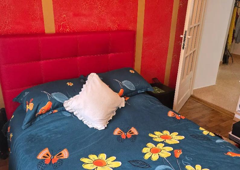 Vand apartament 3 camere decomandat in Deva, Pescarilor, parter inalt - 12
