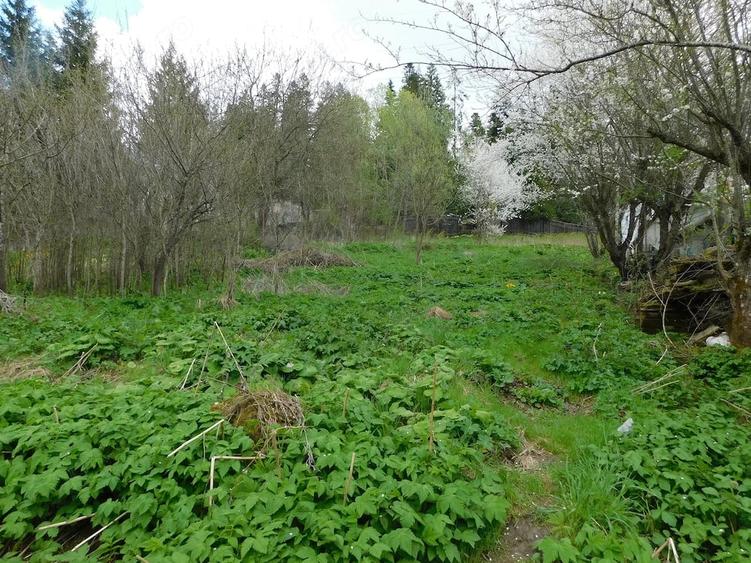 Teren de 1000 mp, în Central