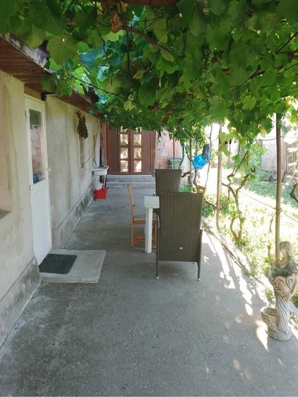 Casă cu 3 camere cu Teren 1200 Mp în Dudeștii Noi