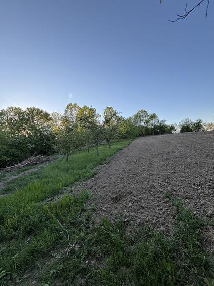 Teren de 1295 mp, în Țerova