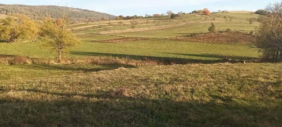 Casă cu Teren 7000 Mp în Fâșca