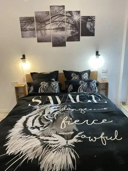 Apartament cu 2 camere semidecomandat în Parcul Carol