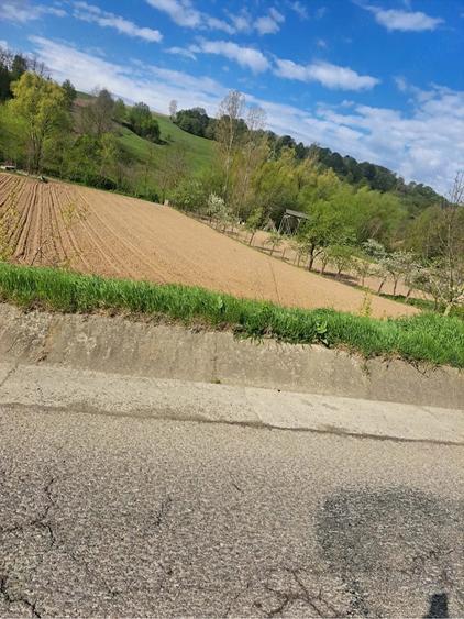 Teren de 3600 mp, în Probota