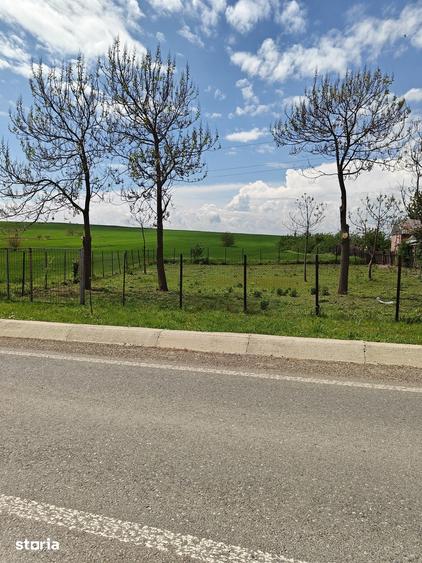 Teren de 50000 mp, în Movileni