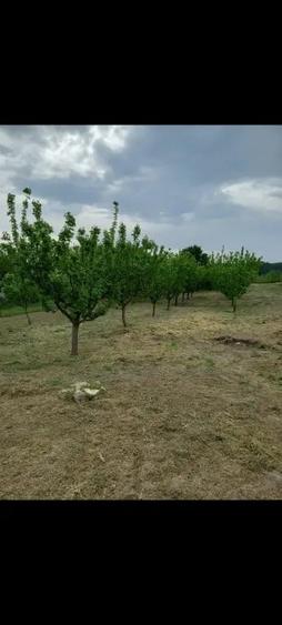 Casă cu 3 camere în Central