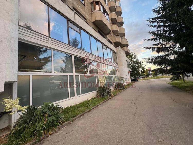 Spa?iu comercial 820 mp de inchiriat Calea Aradului - 11