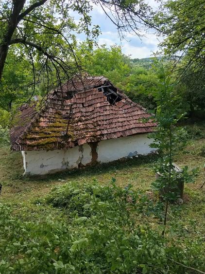 Teren de 29 mp, în Bârsău