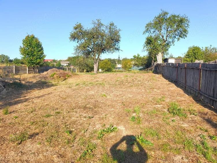 Teren de 1560 mp, în Ciurea