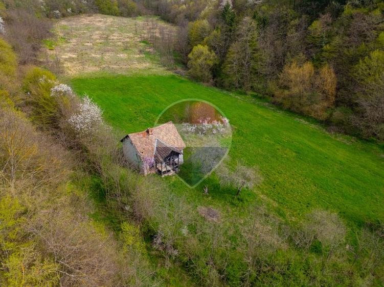 Casă individuală cu 4 camere cu Teren 5000 Mp în Cărand