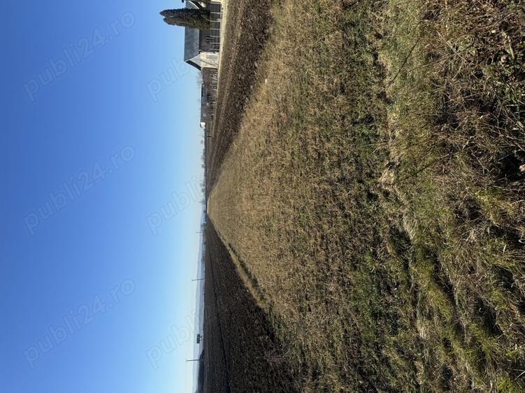 Teren de 2000 mp, în Pătrăuți