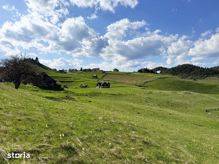 Teren intravilan, 8400 mp, comuna Fundata, zona Bran-Moeciu, Brasov - 9
