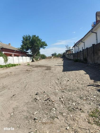 Malu Mare ,1000mp,pret 68000 euro - 1