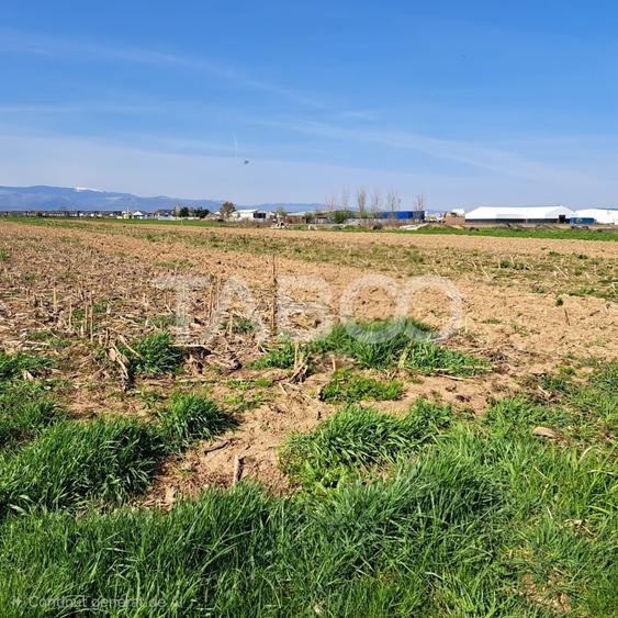 Teren agricol extravilan de 4166 mp, în Șelimbăr