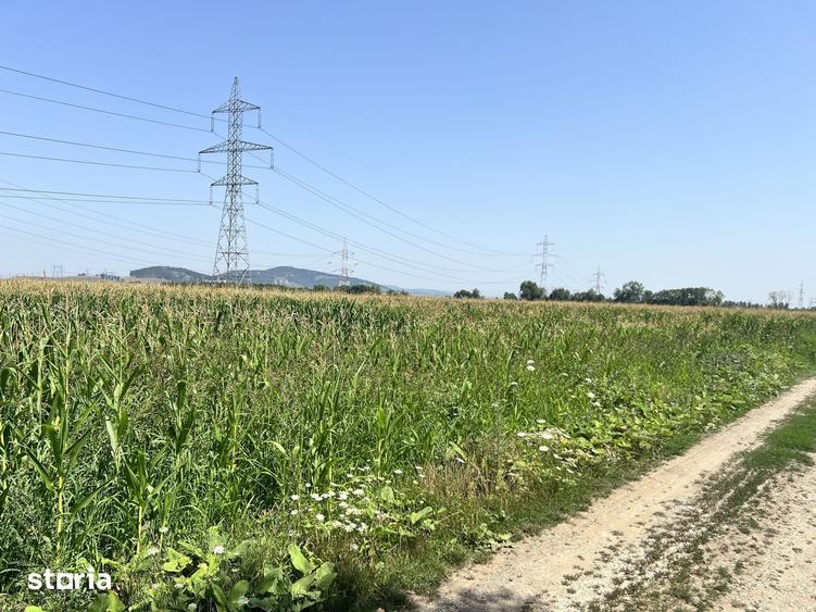 Teren de 10700 mp, în Triaj