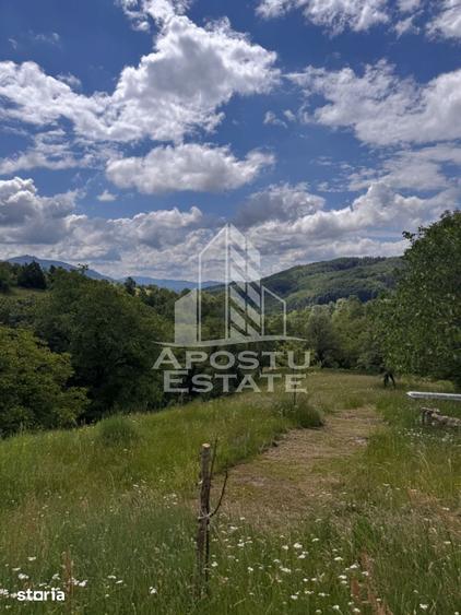 Casă cu 4 camere cu Teren 3534 Mp în Blăjeni