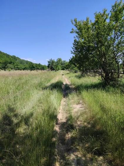 Teren extravilan Pietrosani, Arges - 6