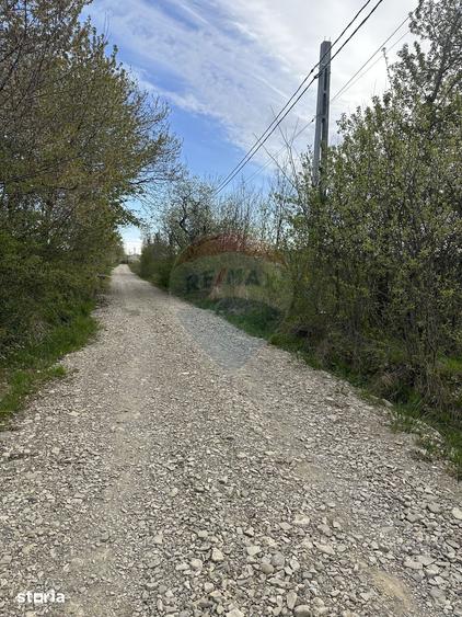Teren de 3000 mp, în Bodești