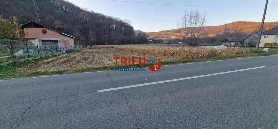 Teren Construcții intravilan de 1000 mp, în Ampoița