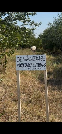 Teren Construcții intravilan de 12299 mp, în Țânțăreni
