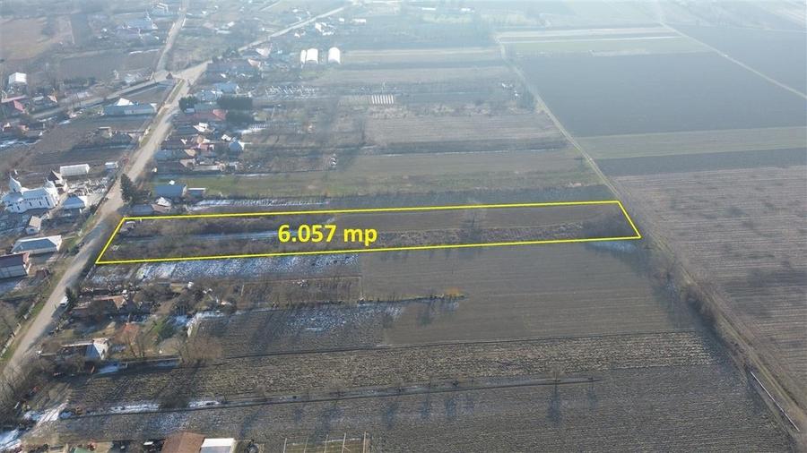 Teren Construcții intravilan de 6057 mp, în Rădulești