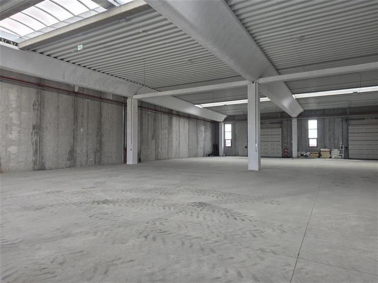 Vanzare depozit/spatiu industrial/hala Chitila - Rudeni, ILFOV - 16