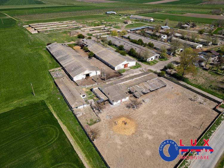 Teren agricol intravilan de 11532 mp, în Mihail Kogălniceanu