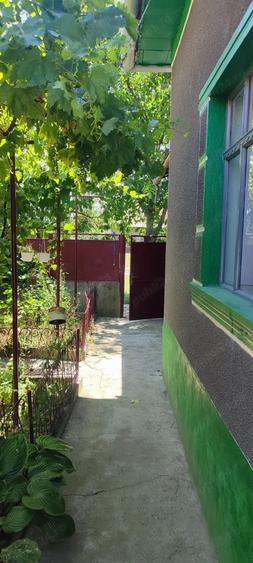 Casă cu 6 camere cu Teren 2880 Mp în Mișca