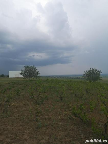 Teren de 5000 mp, în Central