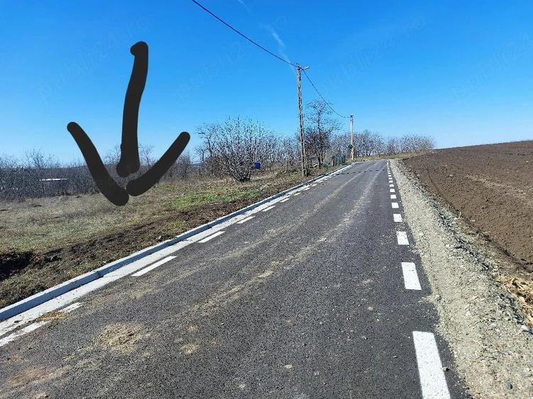 Teren de 3300 mp, în Țigănași