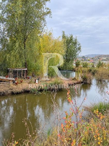 Spațiu industrial, de 100 mp, în Hidișelu de Sus