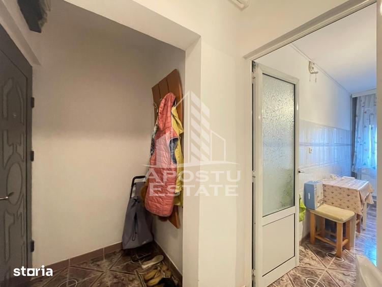 Apartament cu 2 camere semidecomandat în Șega