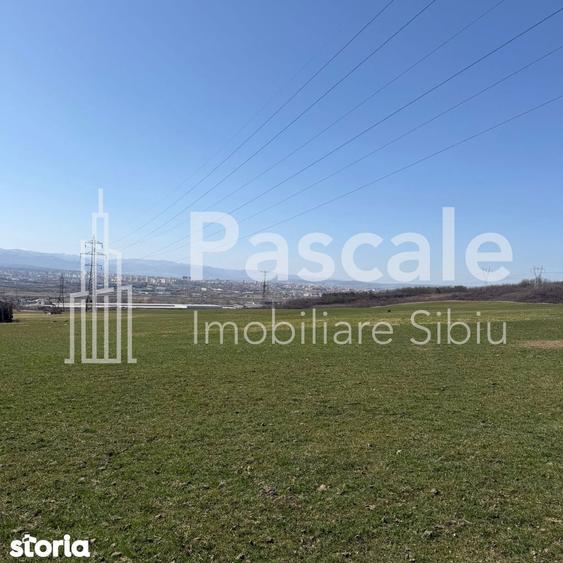 Teren de 2000 mp, în Roșia