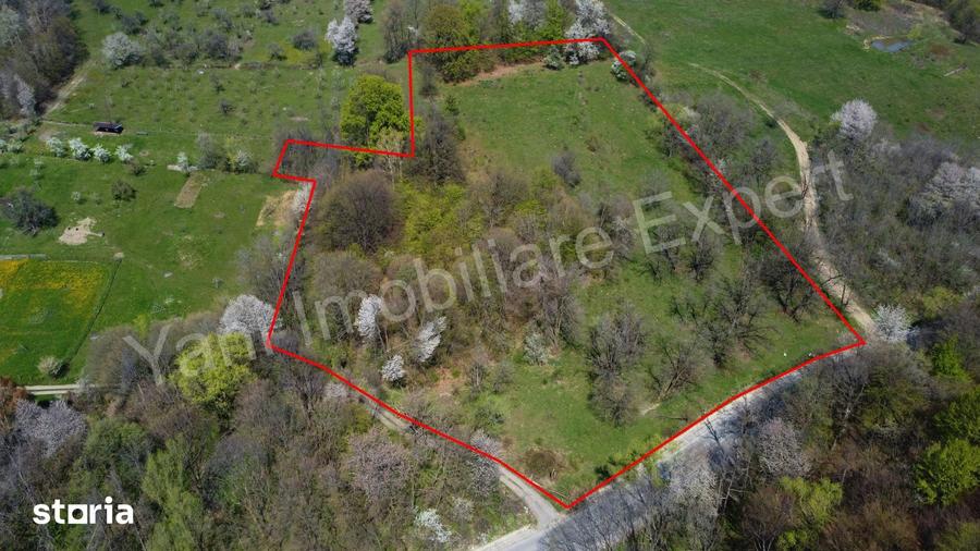 Teren de 15856 mp, în Valea Iașului