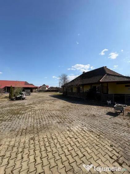 Oportunitate Investitie Ocna Sugatag - 7