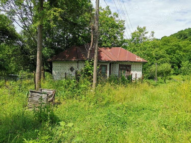 Teren de 2000 mp, în Cosmina de Sus