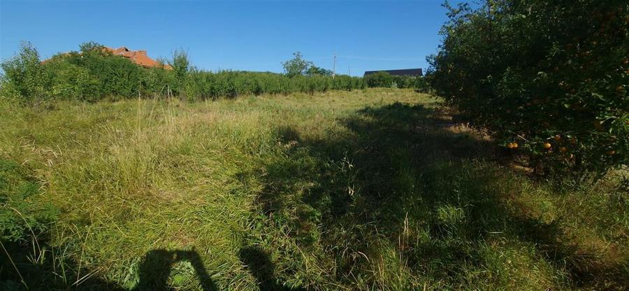 Teren  8 227 mp + Casa demolabila de vanzare in Filiasi -  Fratostita Dolj - 8