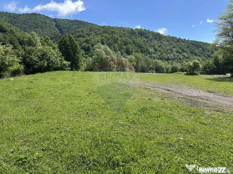 Teren de 1340 mp, în Cuejdiu
