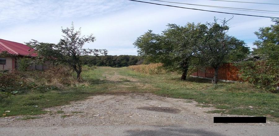 Teren agricol intravilan de 2912 mp, în Crevedia