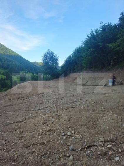 Teren Construcții intravilan de 10000 mp, în Est